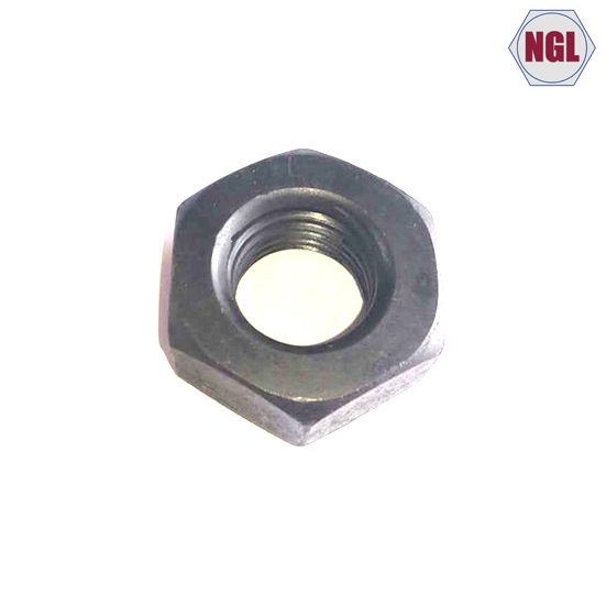 Heavy Hex Nut (A563 A194 2H)